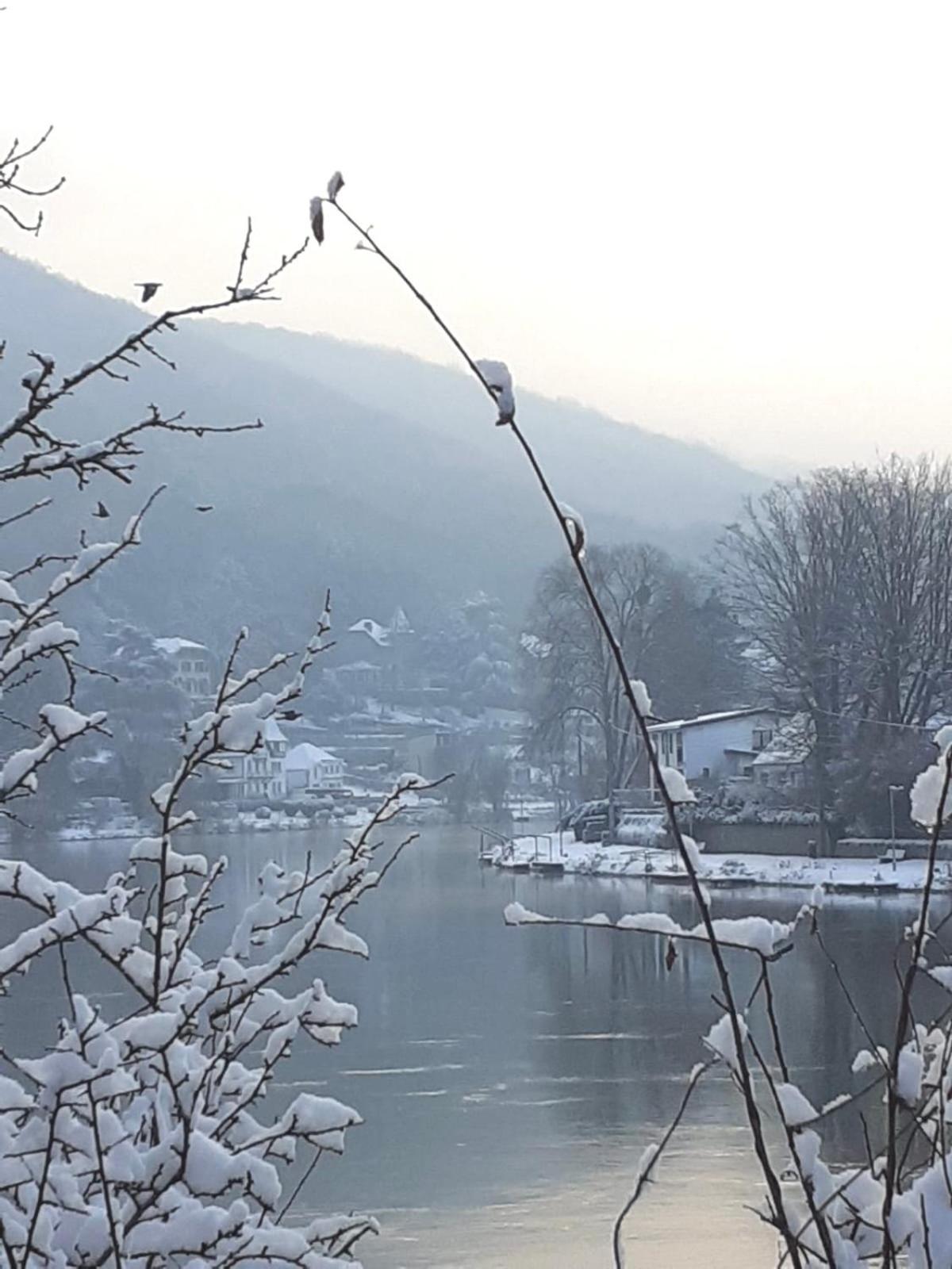 Pieds Dans L'Eau Private Wellness Bordure De Meuse Villa Lustin Kültér fotó