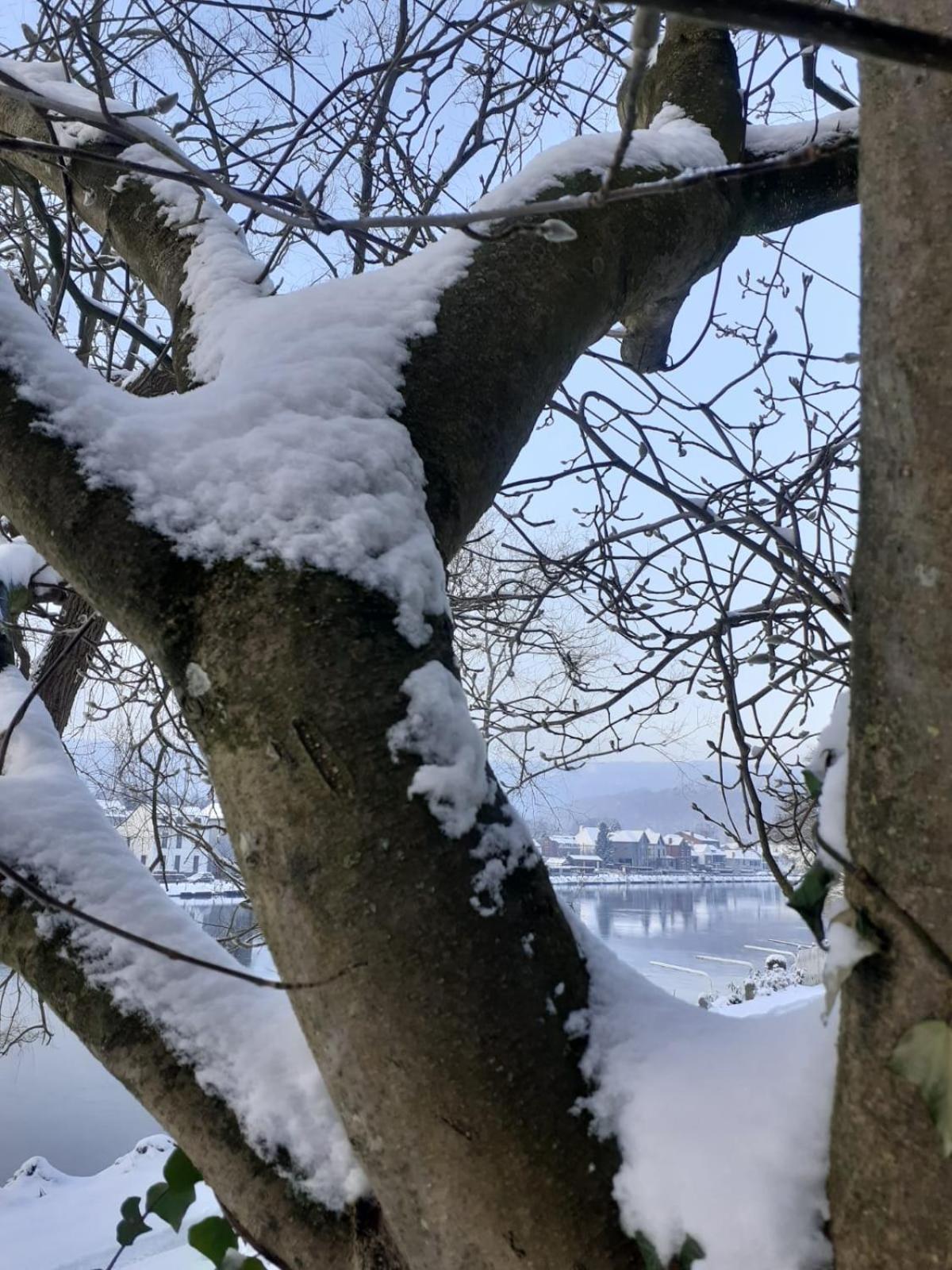 Pieds Dans L'Eau Private Wellness Bordure De Meuse Villa Lustin Kültér fotó