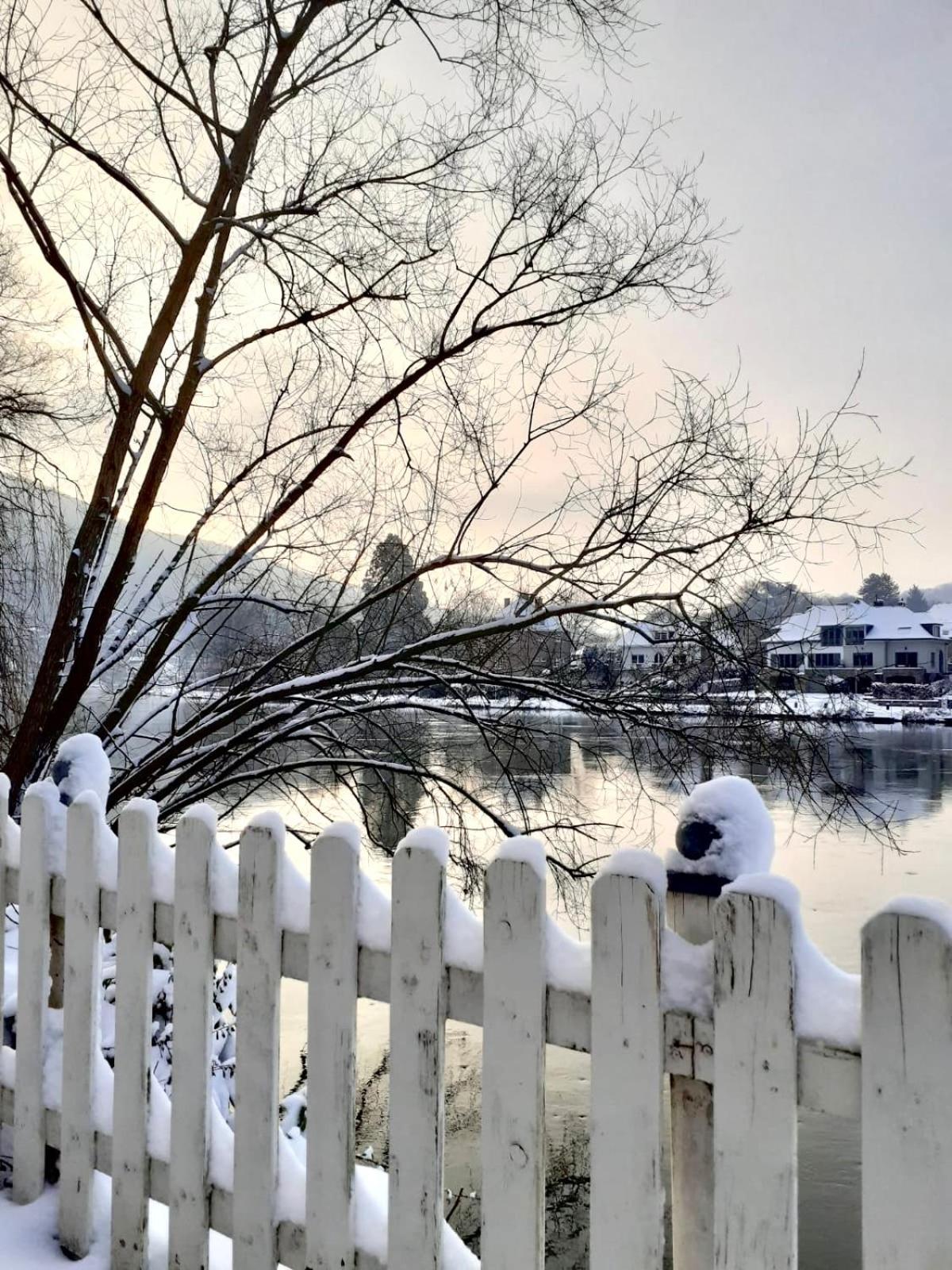 Pieds Dans L'Eau Private Wellness Bordure De Meuse Villa Lustin Kültér fotó